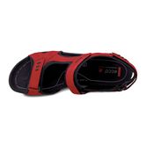 ALL TERRAIN LITE W (Red)