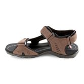 ALL TERRAIN LITE M (Brown)