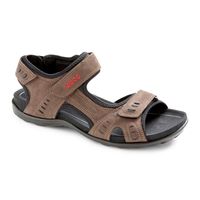ALL TERRAIN LITE M (Brown)