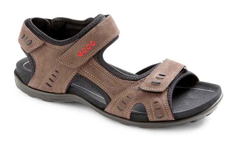 ALL TERRAIN LITE M (Brown)