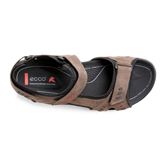 ALL TERRAIN LITE M (Brown)