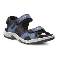  Offroad (Blue)