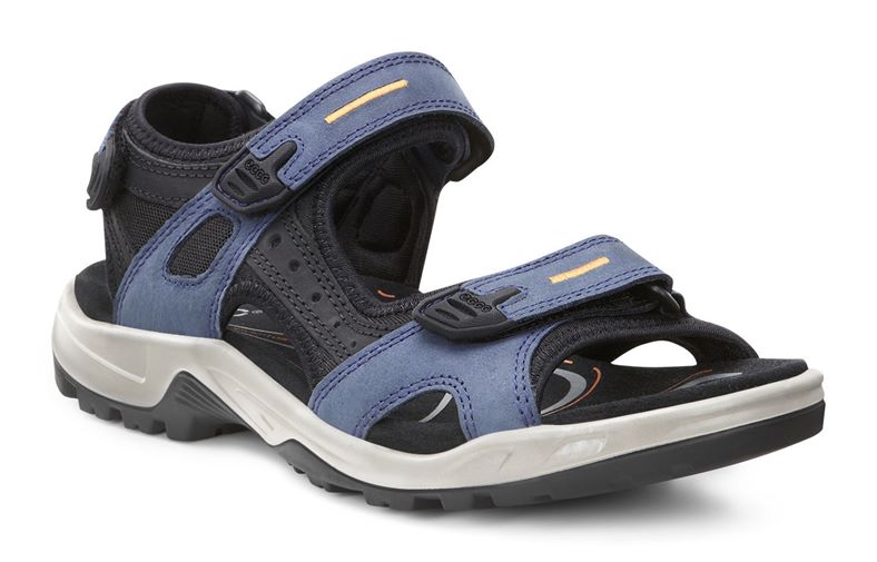  Offroad (Blue)