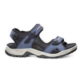  Offroad (Blue)