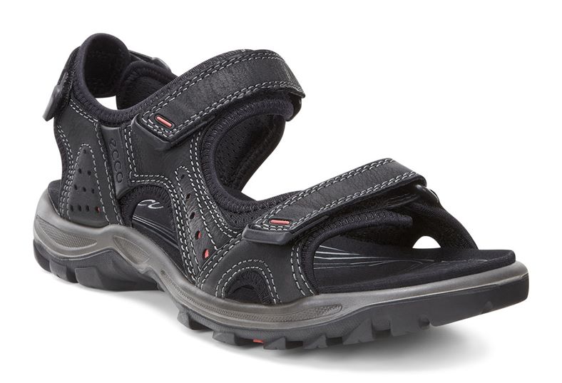  Offroad Lite W (Black)