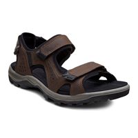 OFFROAD LITE M