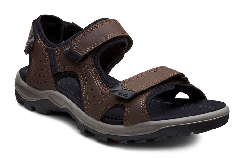 OFFROAD LITE M (Brown)