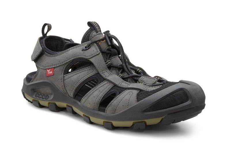 TERRA VG SANDAL M (Grey)