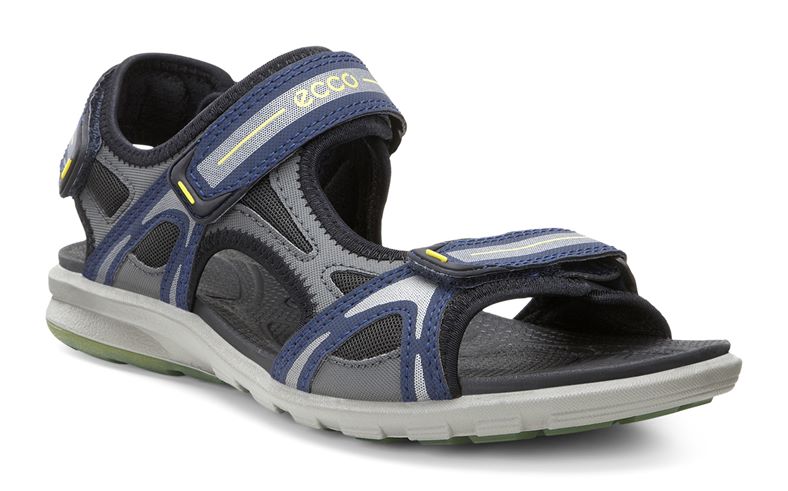  Cruise M (Blue)