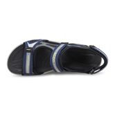  Cruise M (Blue)