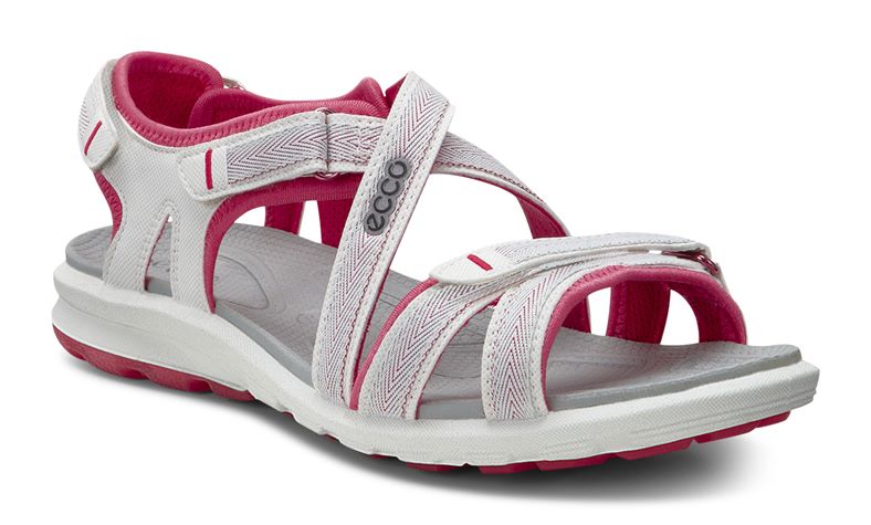  Cruise W (White)
