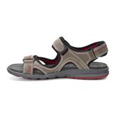 CRUISE M (Grey)