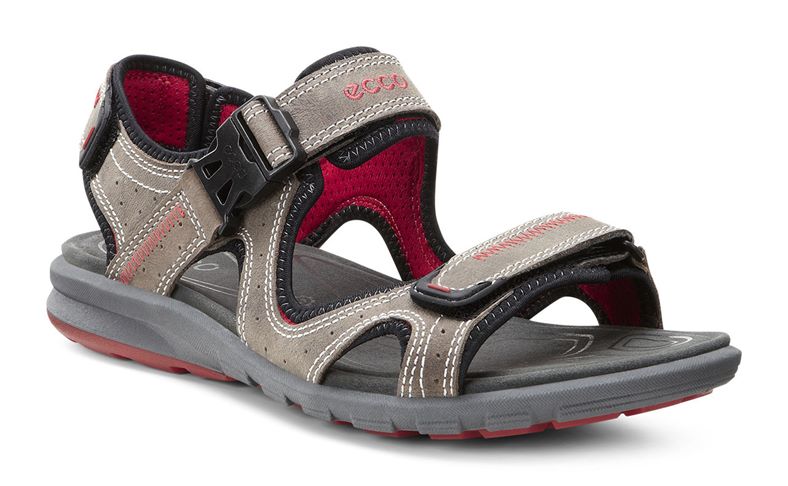 CRUISE M (Grey)