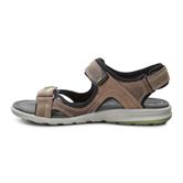 Cruise M (Brown)