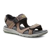 Cruise M (Brown)
