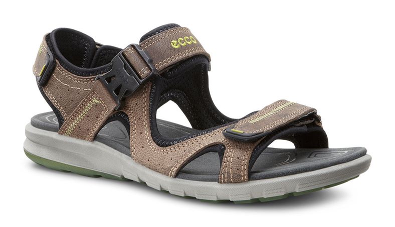 Cruise M (Brown)