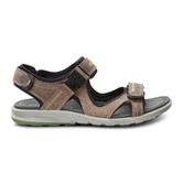  Cruise M (Brown)