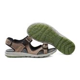  Cruise M (Brown)