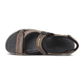  Cruise M (Brown)