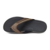  Cruise M (Brown)
