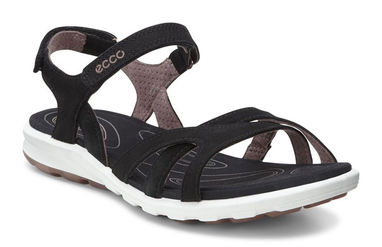  Cruise W (Black)