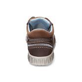 MIMIC (Brown)