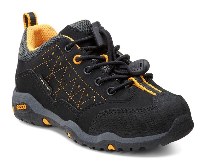 STRIDER (Black)