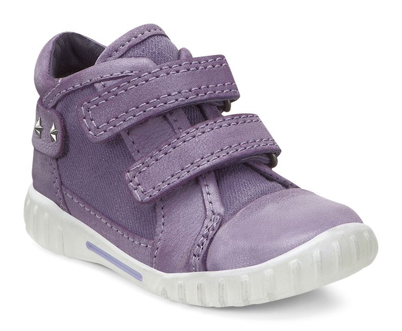MIMIC (Purple)
