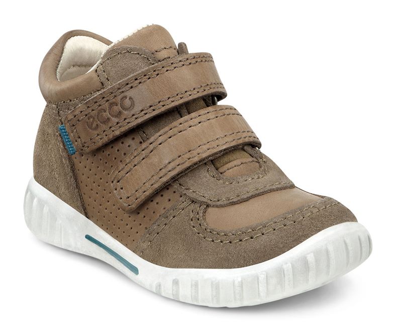 MIMIC (Brown)