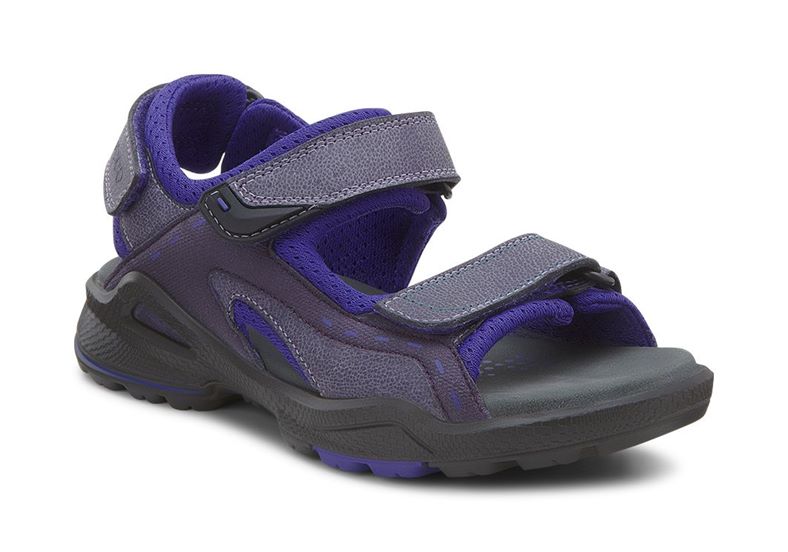  Biom Sandal (Purple)