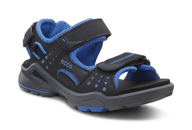  Biom Sandal (Black)