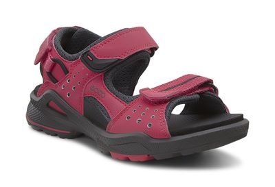  Biom Sandal
