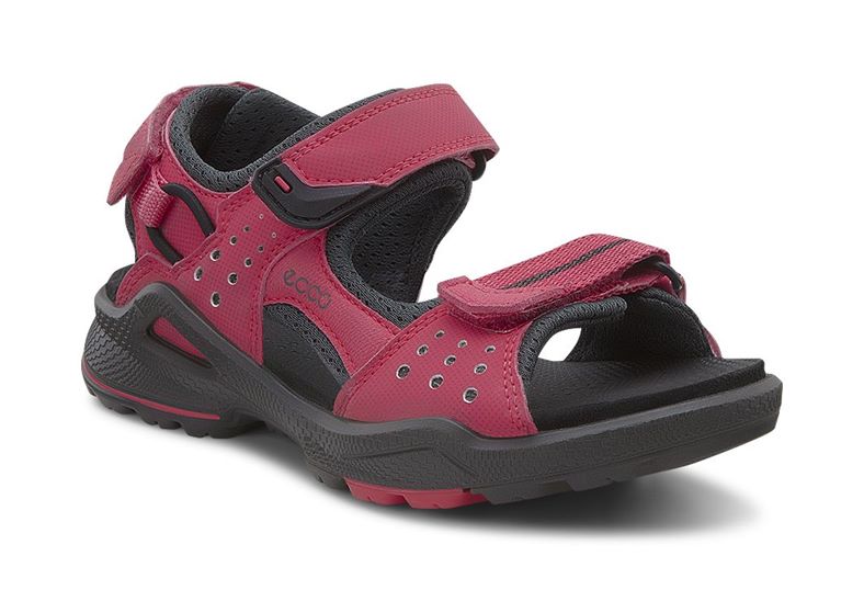  Biom Sandal (Red)