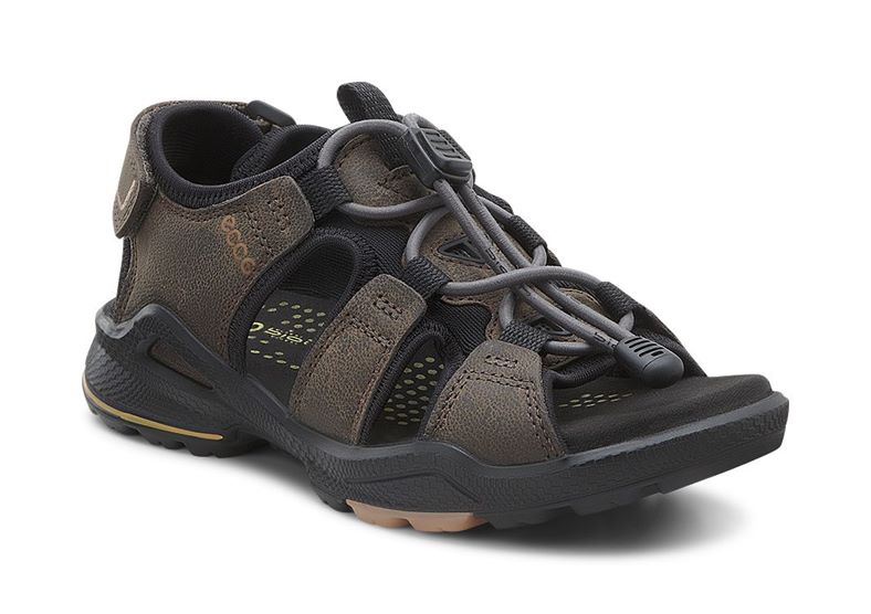 BIOM SANDAL (Brown)