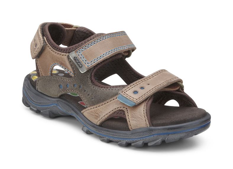  Urban Safari Kids (Brown)