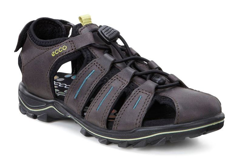  Urban Safari Kids (Grey)