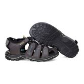  Urban Safari Kids (Grey)