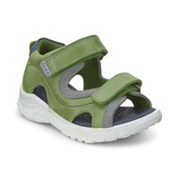 Peekaboo (Green)