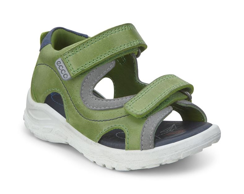  Peekaboo (Green)