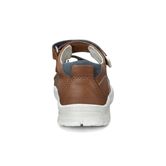  Peekaboo (Brown)