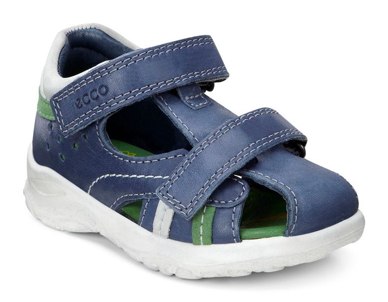  Peekaboo (Blue)