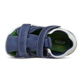  Peekaboo (Blue)