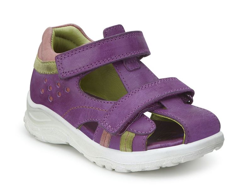  Peekaboo (Multicolor)