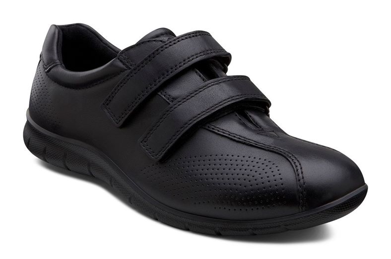 BABETT (Black)