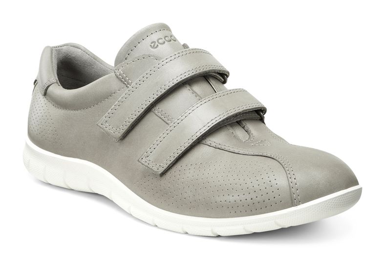  Babett (Metallic)