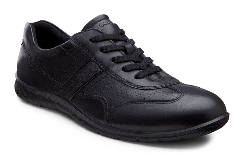 BABETT (Black)
