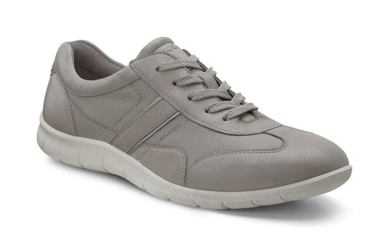 BABETT (Metallic)