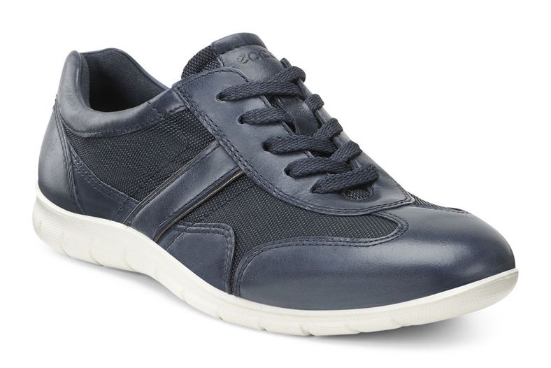 BABETT (Blue)