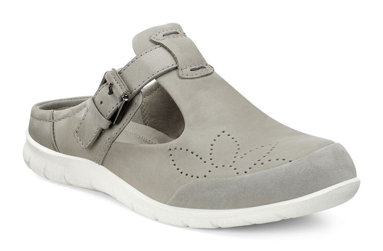  Babett Clog (Metallic)