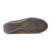 ABELONE (Brown)
